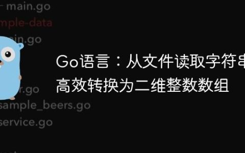 Go语言：从文件读取字符串并高效转换为二维整数数组