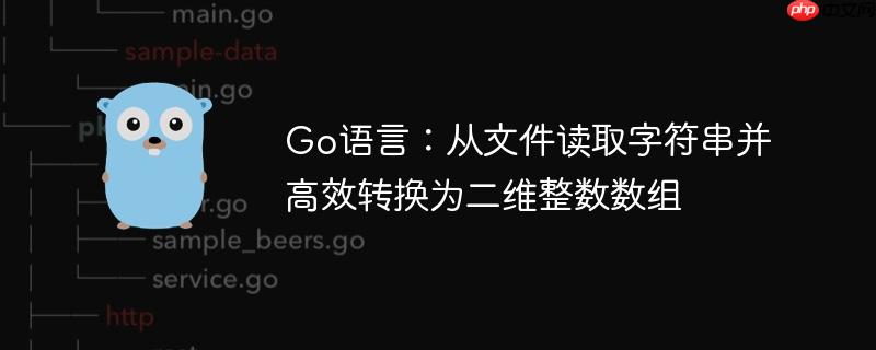 Go语言:从文件读取字符串并高效转换为二维整数数组