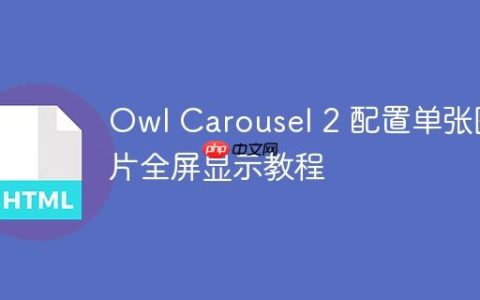 Owl Carousel 2 配置单张图片全屏显示教程