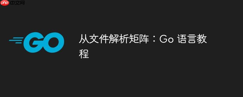 从文件解析矩阵:go 语言教程