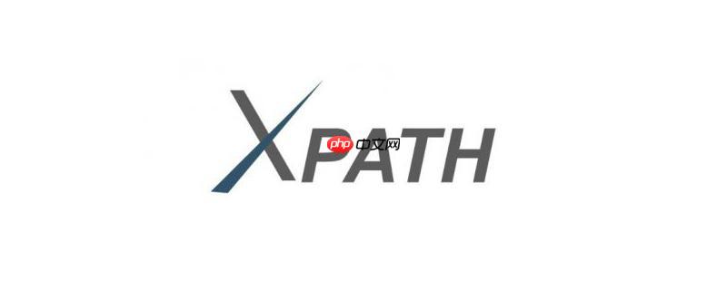 xpath的text()函数的作用是什么?如何使用?
