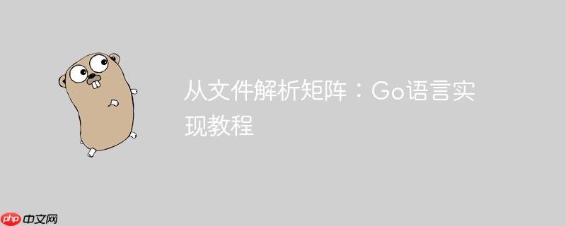从文件解析矩阵：go语言实现教程