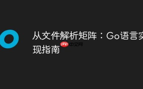 从文件解析矩阵：Go语言实现指南