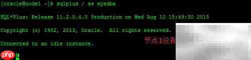PRCR-1001: ora.orcl.db资源异常