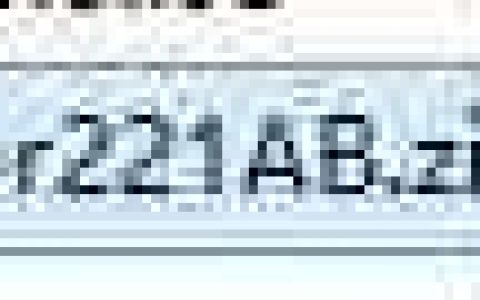 Foxit PDF编辑器安装指南
