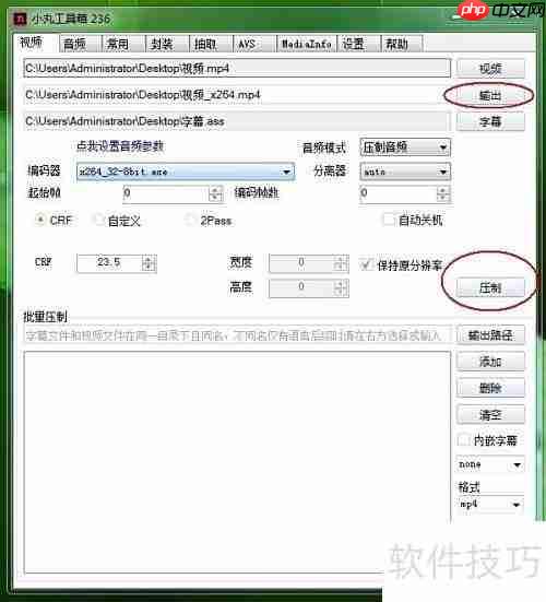 如何将字幕与视频合并?