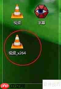 如何将字幕与视频合并?