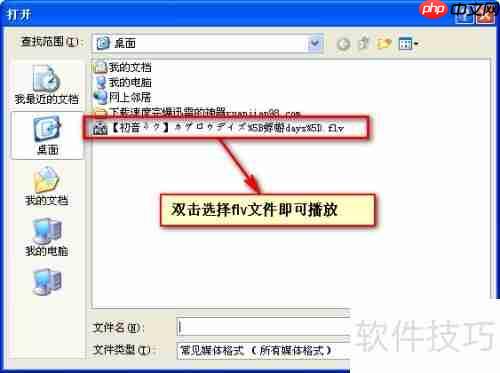 FLV文件播放方法