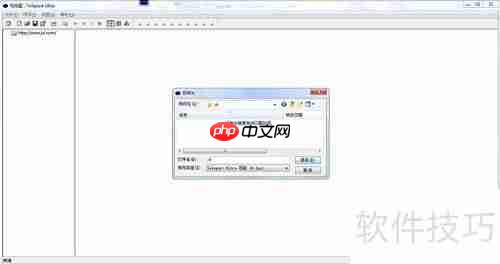 网站整站下载与使用指南