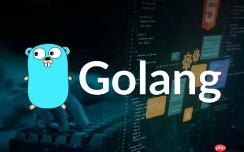 Golang基准测试结果如何分析 使用benchstat工具比较性能差异