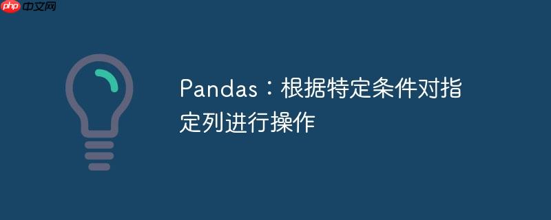 pandas：根据特定条件对指定列进行操作