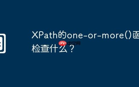 XPath的one-or-more()函数检查什么？
