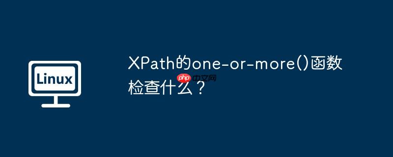 xpath的one-or-more()函数检查什么?