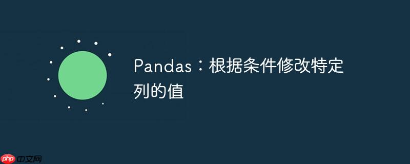 pandas：根据条件修改特定列的值