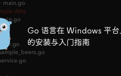 Go 语言在 Windows 平台上的安装与入门指南