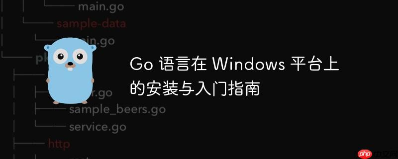 Go 语言在 Windows 平台上的安装与入门指南