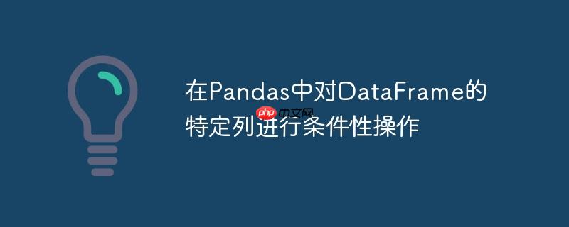 在pandas中对dataframe的特定列进行条件性操作