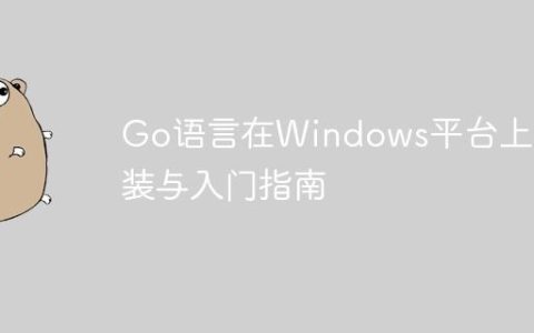 Go语言在Windows平台上的安装与入门指南