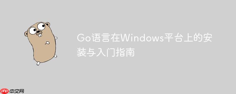 Go语言在Windows平台上的安装与入门指南