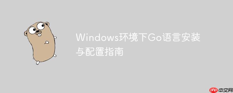 Windows环境下Go语言安装与配置指南