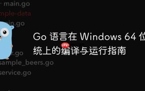 Go 语言在 Windows 64 位系统上的编译与运行指南