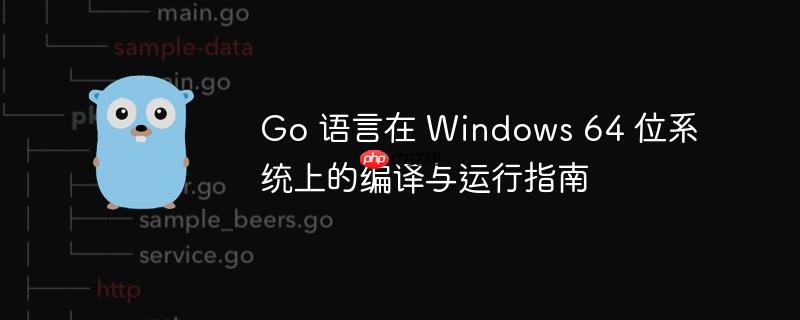 Go 语言在 Windows 64 位系统上的编译与运行指南