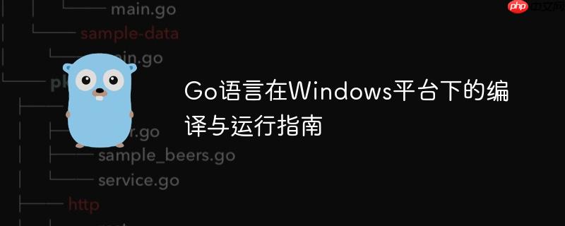 Go语言在Windows平台下的编译与运行指南