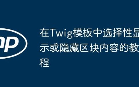 在Twig模板中选择性显示或隐藏区块内容的教程