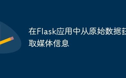 在Flask应用中从原始数据获取媒体信息