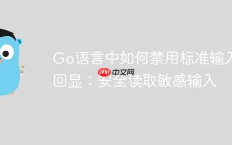 Go语言中如何禁用标准输入回显：安全读取敏感输入