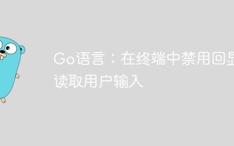 Go语言：在终端中禁用回显读取用户输入