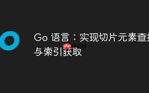 Go 语言：实现切片元素查找与索引获取