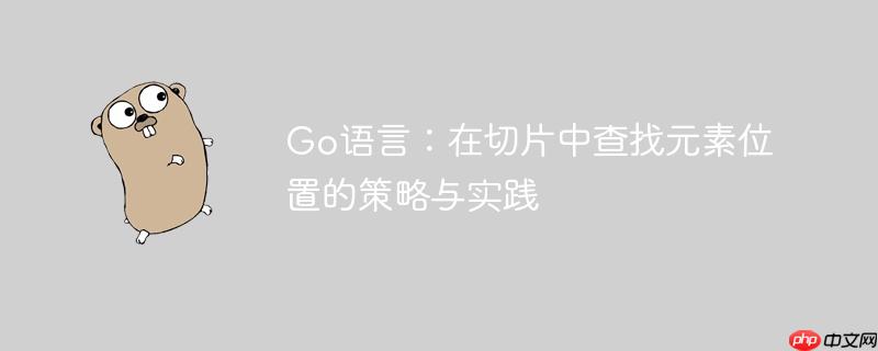 Go语言:在切片中查找元素位置的策略与实践