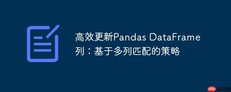 高效更新Pandas DataFrame列:基于多列匹配的策略