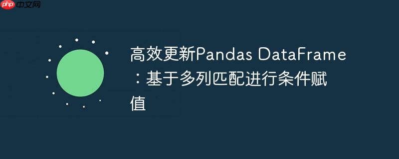 高效更新Pandas DataFrame:基于多列匹配进行条件赋值