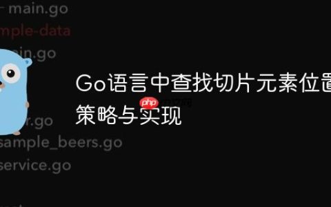 Go语言中查找切片元素位置的策略与实现