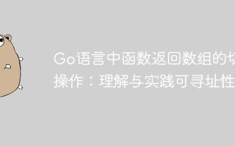 Go语言中函数返回数组的切片操作：理解与实践可寻址性