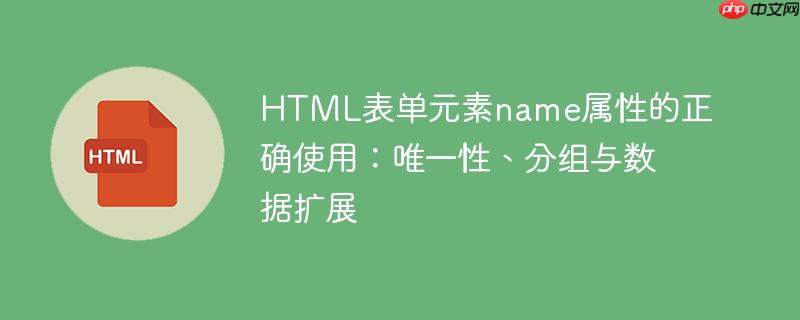 HTML表单元素name属性的正确使用:唯一性、分组与数据扩展