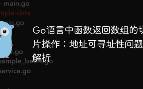 Go语言中函数返回数组的切片操作：地址可寻址性问题解析
