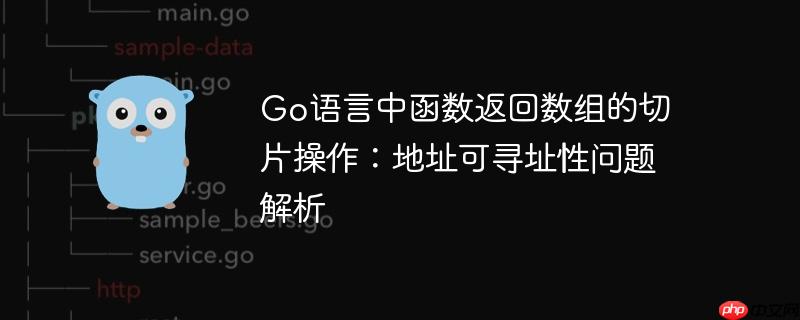 go语言中函数返回数组的切片操作：地址可寻址性问题解析