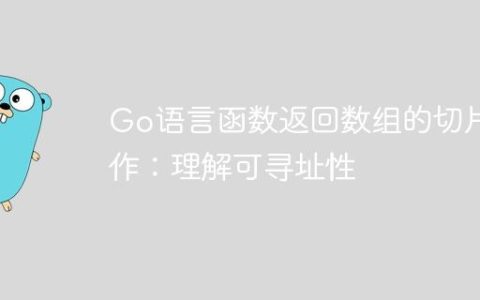 Go语言函数返回数组的切片操作：理解可寻址性
