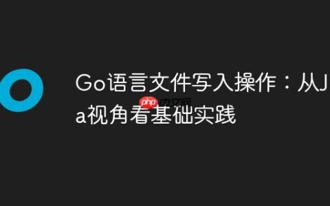 Go语言文件写入操作：从Java视角看基础实践