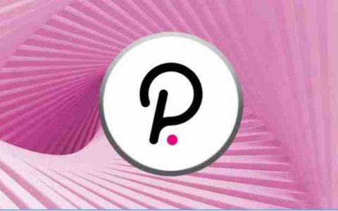 Polkadot（DOT币）价格预测：2025-2030 年关键洞察与长期展望