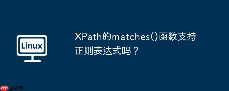 xpath的matches()函数支持正则表达式吗?