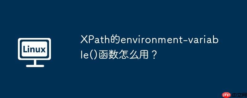xpath的environment-variable()函数怎么用?