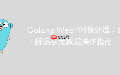Golang WebP图像处理：编码、解码与元数据操作指南