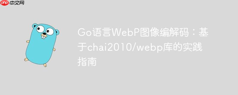 Go语言WebP图像编解码:基于chai2010/webp库的实践指南