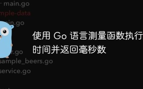 使用 Go 语言测量函数执行时间并返回毫秒数