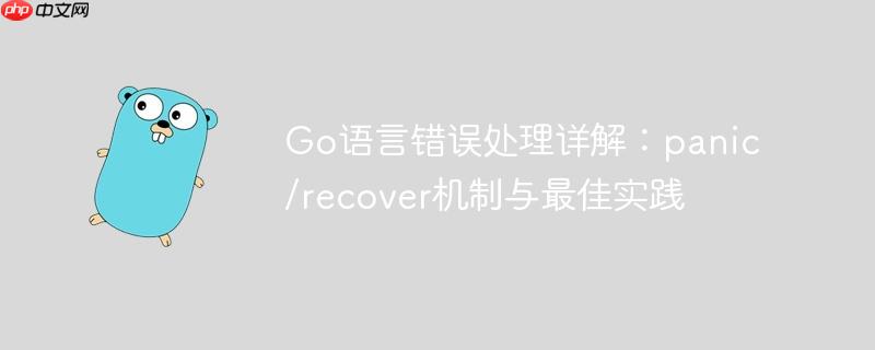 go语言错误处理详解:panic/recover机制与最佳实践