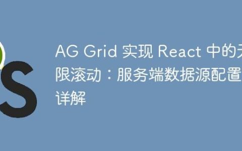 AG Grid 实现 React 中的无限滚动：服务端数据源配置详解